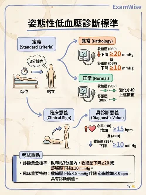 專師 - 高血壓與藥物治療 - AI 圖文解析預覽
