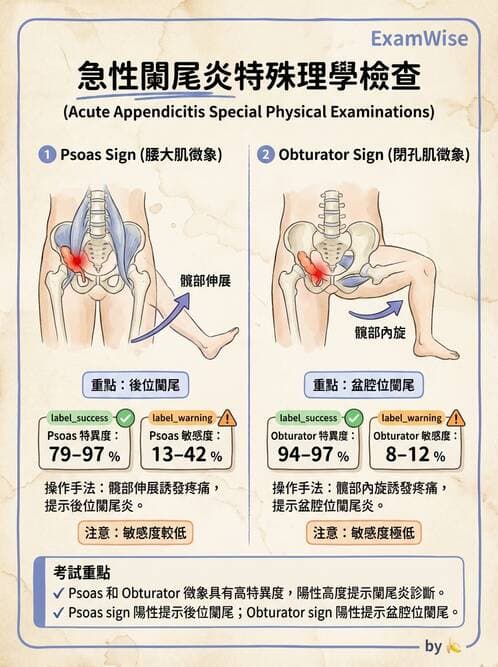 專師 - 腹部評估與急腹症 - AI 圖文解析預覽
