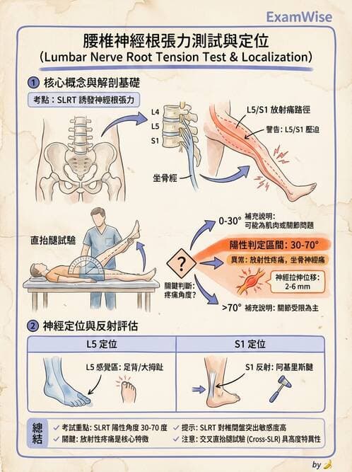 專師 - 脊椎疾病 - AI 圖文解析預覽