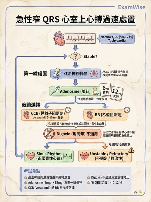 專師 - 心律不整與ECG判讀 - AI 圖文解析預覽