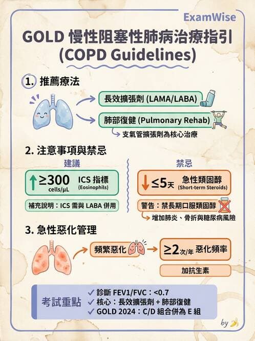 專師 - 阻塞性肺病 - AI 圖文解析預覽