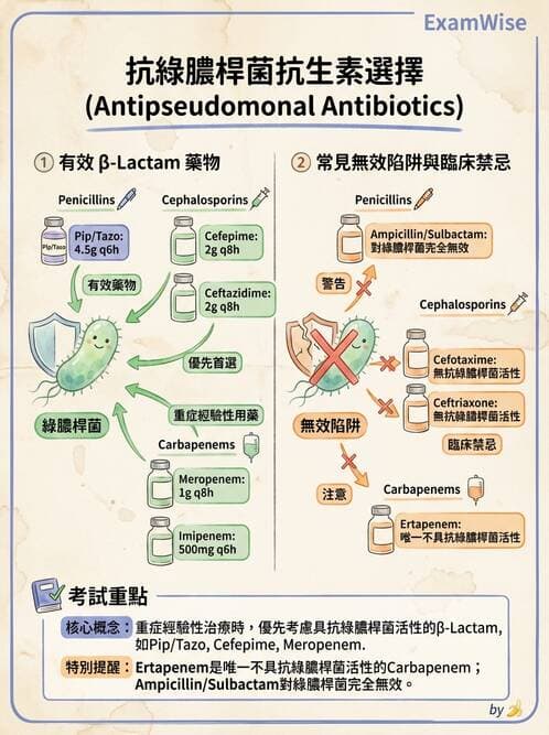 專師 - 抗生素藥理 - AI 圖文解析預覽