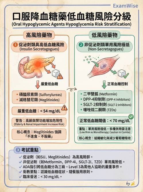 專師 - 降血糖藥物 - AI 圖文解析預覽