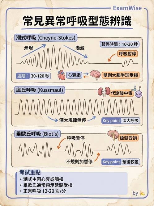 專師 - 呼吸治療與ABG - AI 圖文解析預覽