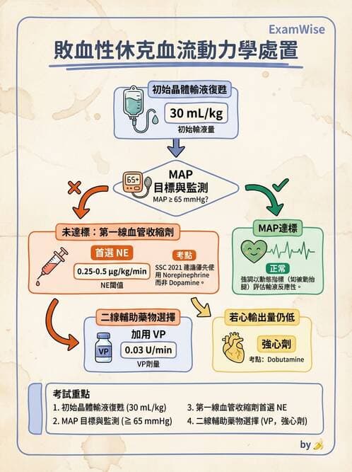 專師 - 敗血症治療與復甦指引 - AI 圖文解析預覽