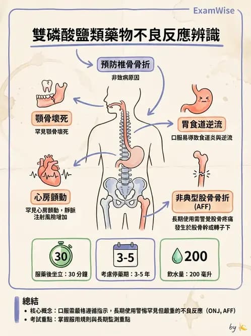 專師 - 骨折與骨質疏鬆 - AI 圖文解析預覽