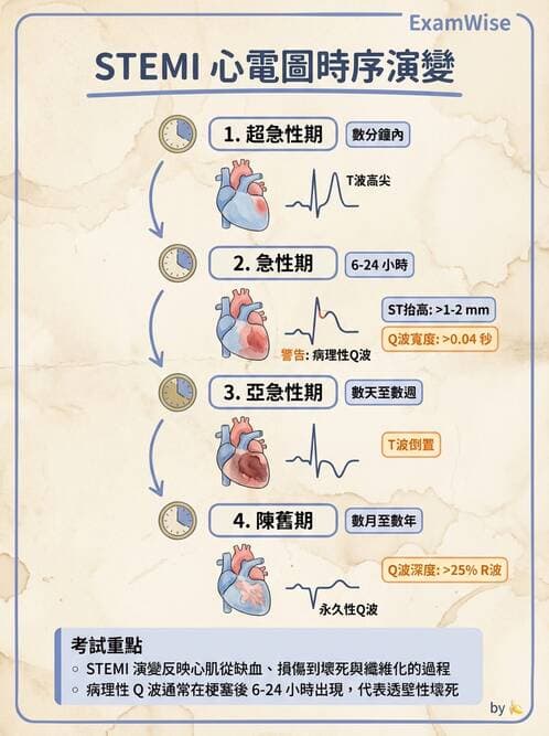 專師 - 急性心肌梗塞與處置 - AI 圖文解析預覽