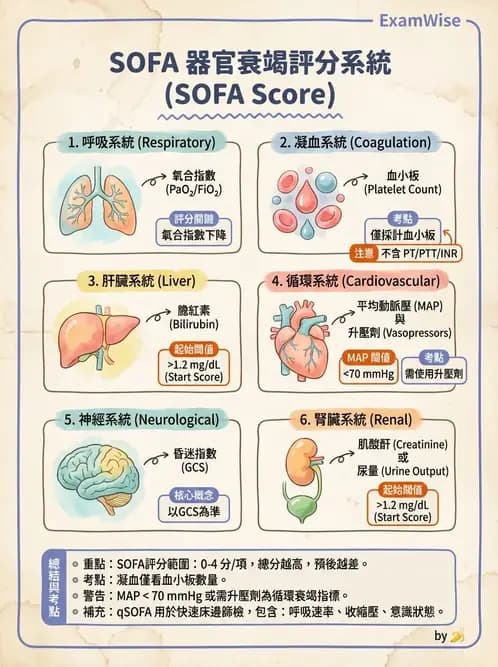 專師 - 敗血症診斷與評估工具 - AI 圖文解析預覽