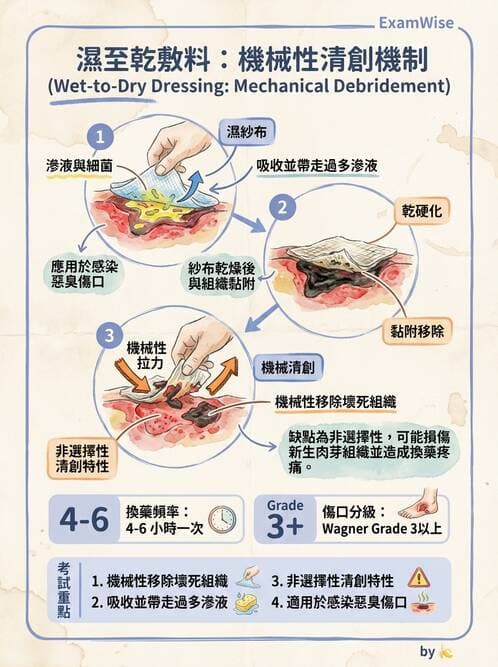 專師 - 皮膚軟組織感染 - AI 圖文解析預覽