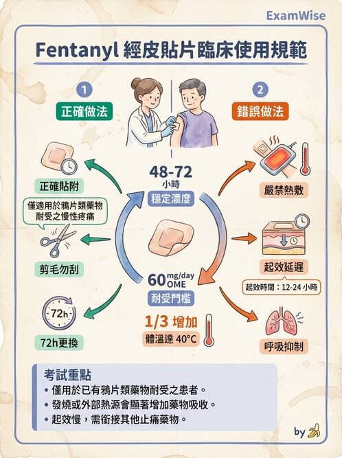 專師 - 疼痛控制與止痛藥物 - AI 圖文解析預覽