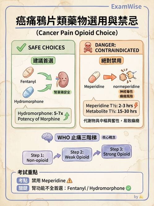 專師 - 疼痛控制與止痛藥物 - AI 圖文解析預覽