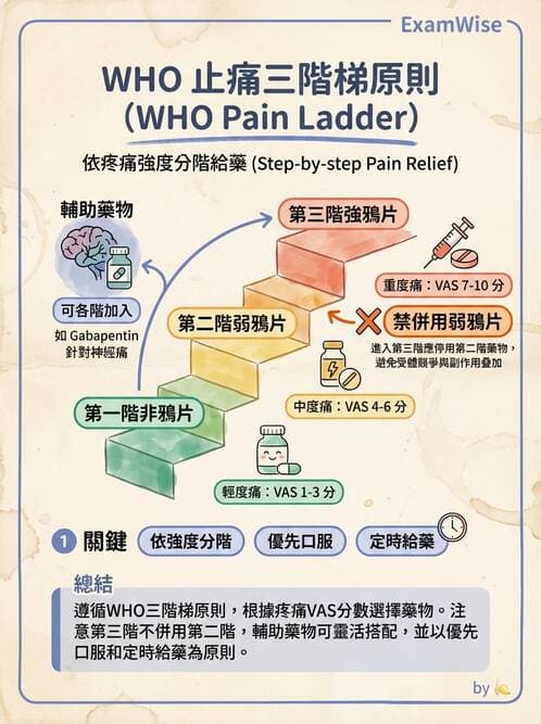 專師 - 疼痛控制與止痛藥物 - AI 圖文解析預覽