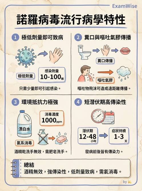 專師 - 院內感染與感控 - AI 圖文解析預覽