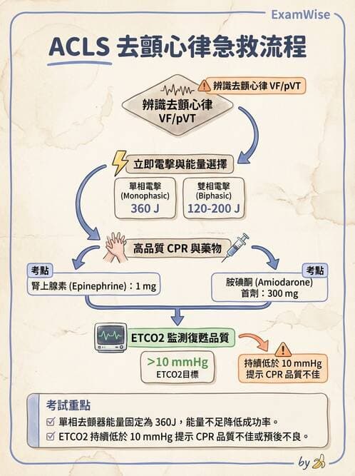 專師 - 心律不整與電擊治療 - AI 圖文解析預覽