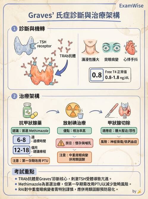 專師 - 甲狀腺疾病 - AI 圖文解析預覽