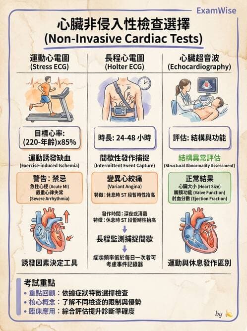專師 - 心絞痛與穩定型冠心病 - AI 圖文解析預覽