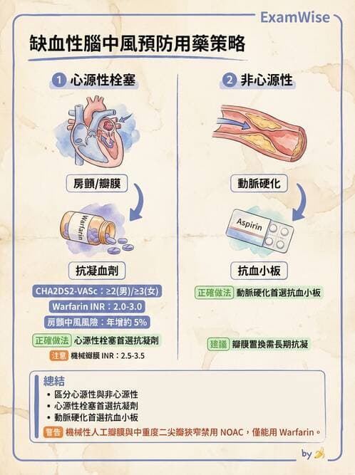 專師 - 腦血管疾病 - AI 圖文解析預覽