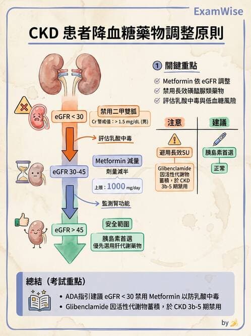 專師 - 胰島素治療與血糖管理 - AI 圖文解析預覽