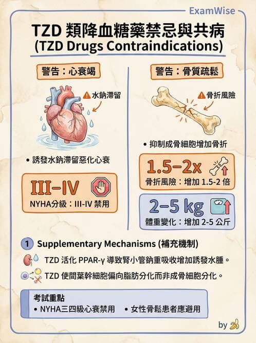 專師 - 降血糖藥物 - AI 圖文解析預覽