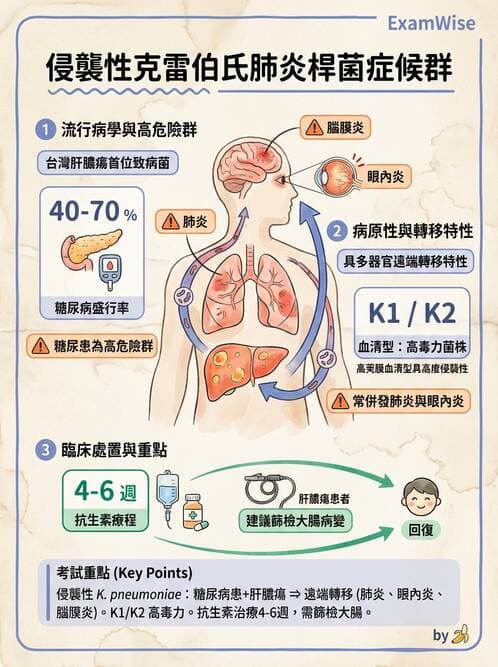 專師 - 呼吸道感染 - AI 圖文解析預覽
