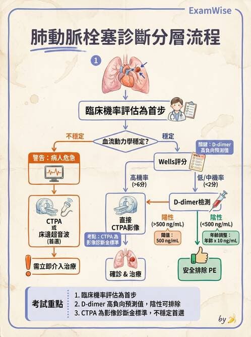 專師 - 肺栓塞與其他肺疾 - AI 圖文解析預覽