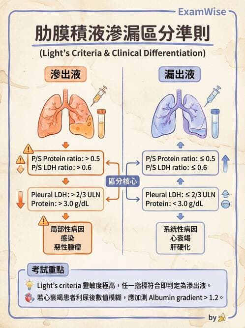 專師 - 肋膜疾病 - AI 圖文解析預覽