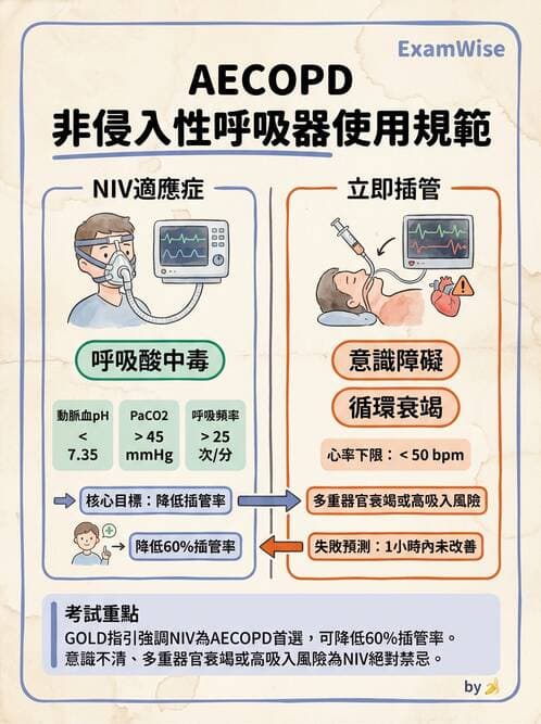 專師 - 呼吸治療與ABG - AI 圖文解析預覽