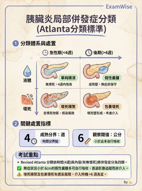 專師 - 膽道與胰臟 - AI 圖文解析預覽