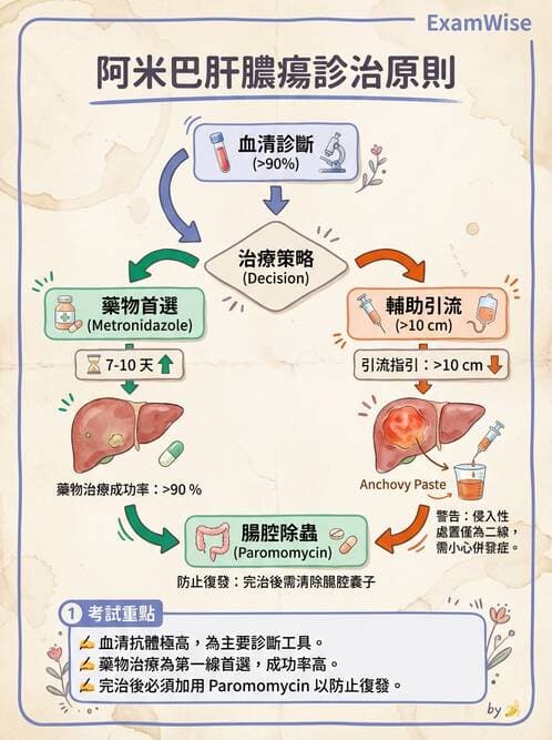 專師 - 肝腫瘤與肝臟手術 - AI 圖文解析預覽