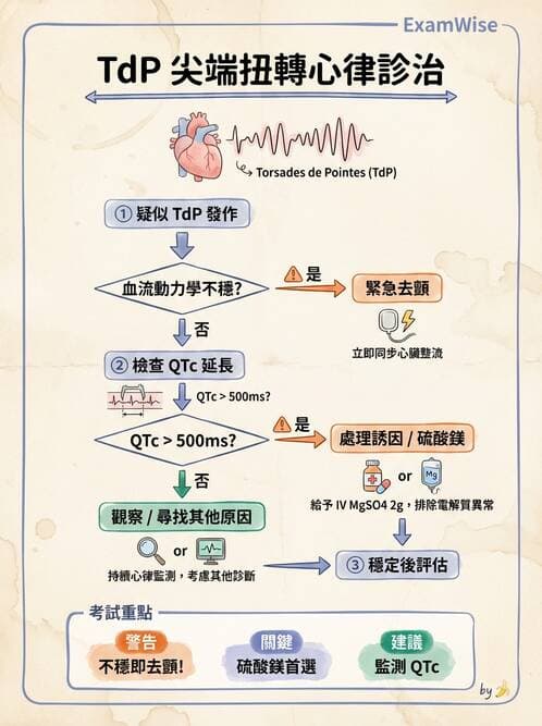 專師 - 心律不整與電擊治療 - AI 圖文解析預覽