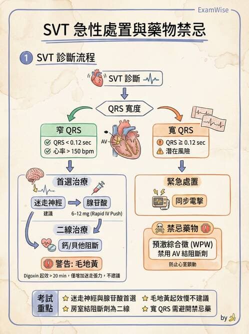 專師 - 心律不整與ECG判讀 - AI 圖文解析預覽
