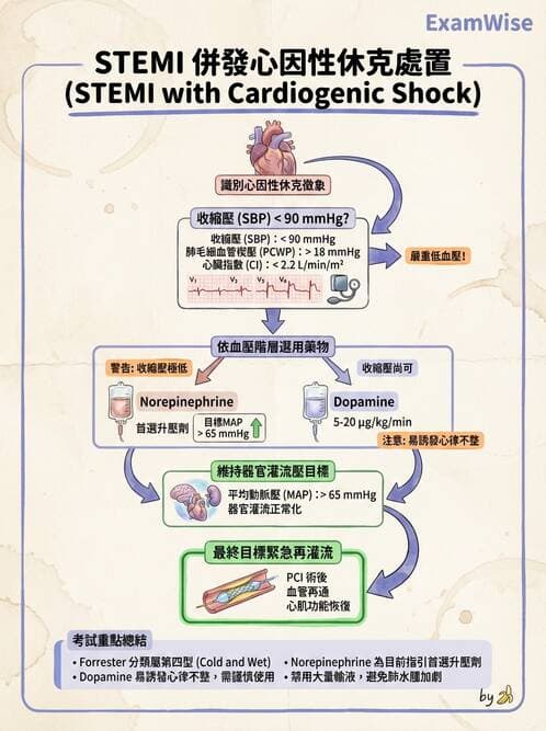 專師 - 急性心肌梗塞與處置 - AI 圖文解析預覽