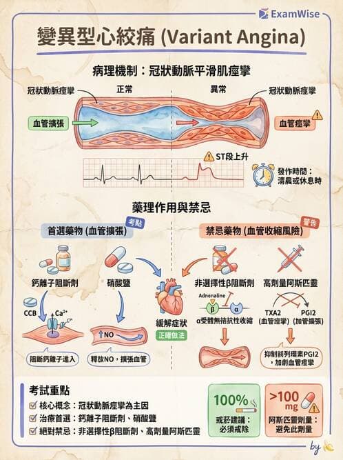 專師 - 心絞痛與穩定型冠心病 - AI 圖文解析預覽