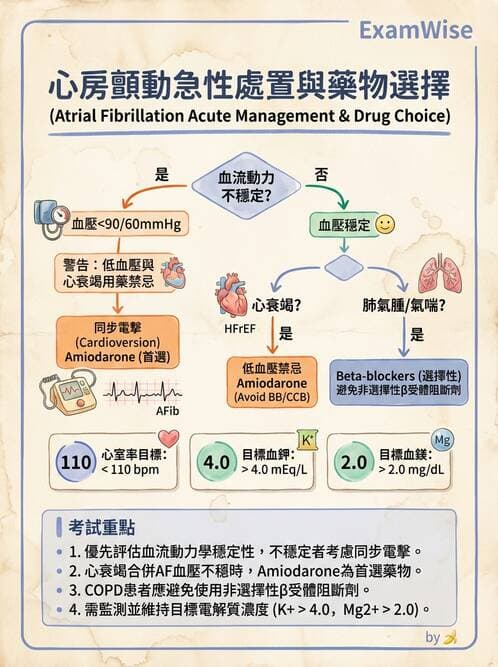 專師 - 心律不整與ECG判讀 - AI 圖文解析預覽