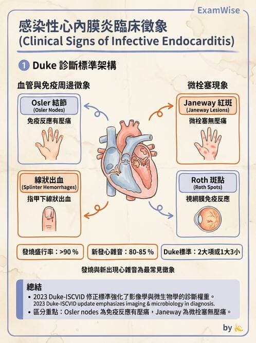 專師 - 感染性心內膜炎 - AI 圖文解析預覽