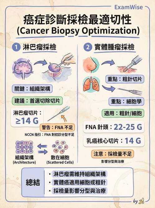 專師 - 腫瘤診斷與分期 - AI 圖文解析預覽