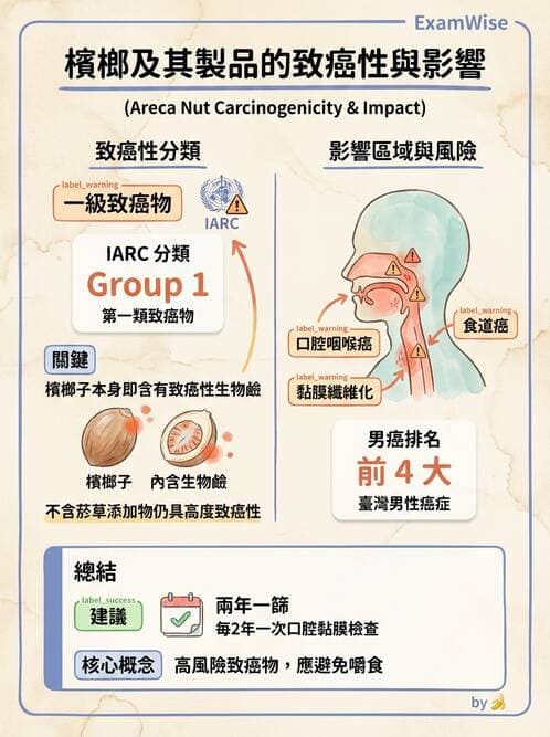 專師 - 菸檳防治與戒菸 - AI 圖文解析預覽