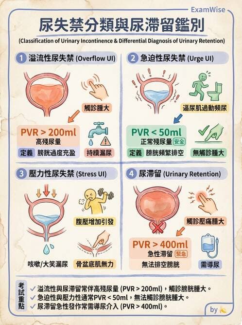 專師 - 尿失禁與排尿障礙 - AI 圖文解析預覽