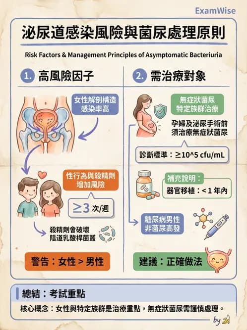 專師 - 泌尿道感染 - AI 圖文解析預覽