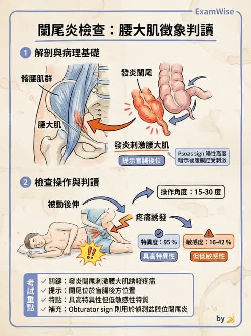 專師 - 腹部評估與急腹症 - AI 圖文解析預覽
