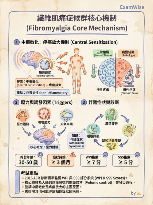 專師 - 風濕免疫疾病 - AI 圖文解析預覽