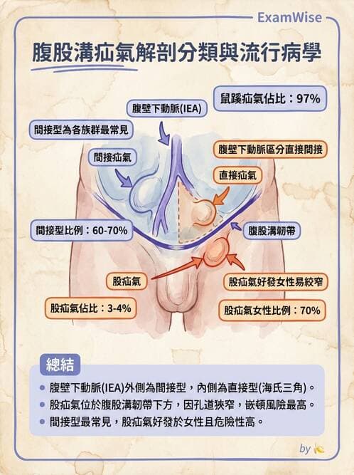 專師 - 疝氣與急腹症 - AI 圖文解析預覽