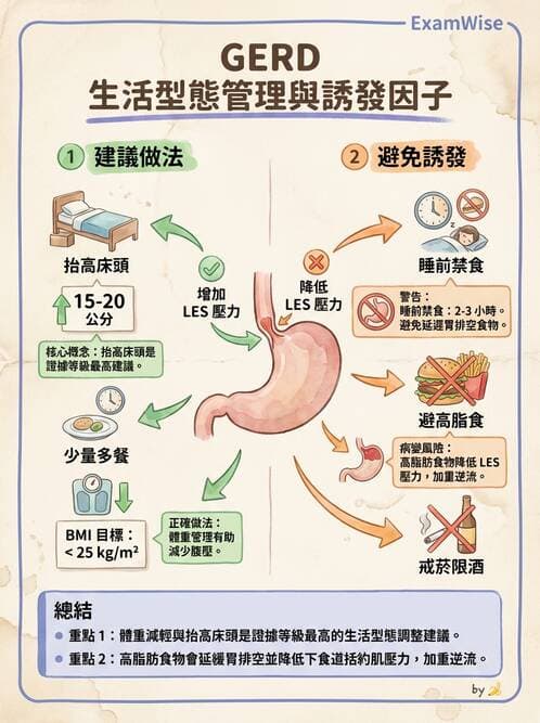 專師 - 上消化道 - AI 圖文解析預覽
