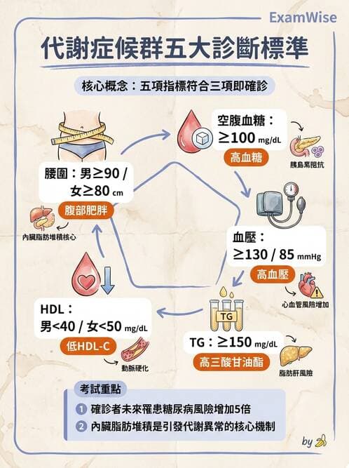 專師 - 代謝症候群與血脂 - AI 圖文解析預覽