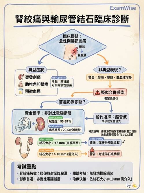 專師 - 泌尿道結石 - AI 圖文解析預覽