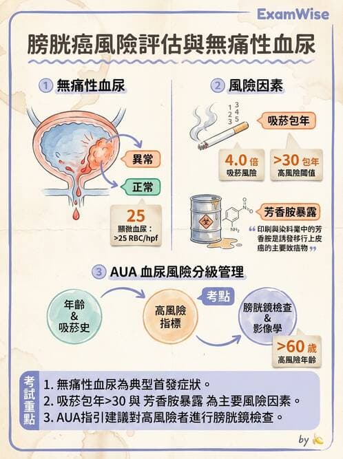 專師 - 泌尿腫瘤 - AI 圖文解析預覽