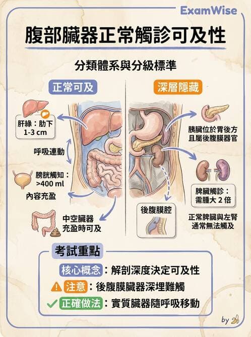 專師 - 腹部評估與急腹症 - AI 圖文解析預覽