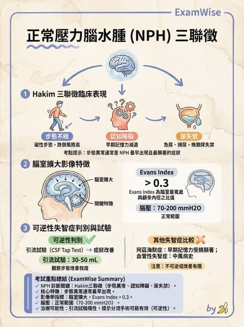 專師 - 神經退化與免疫疾病 - AI 圖文解析預覽
