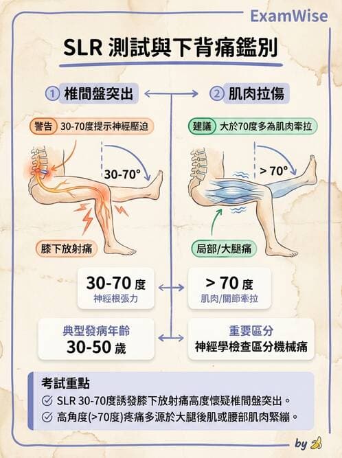 專師 - 脊椎疾病 - AI 圖文解析預覽