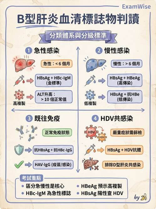 專師 - 肝炎與肝功能 - AI 圖文解析預覽